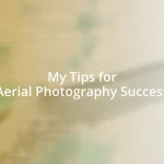 My Tips for Aerial Photography Success